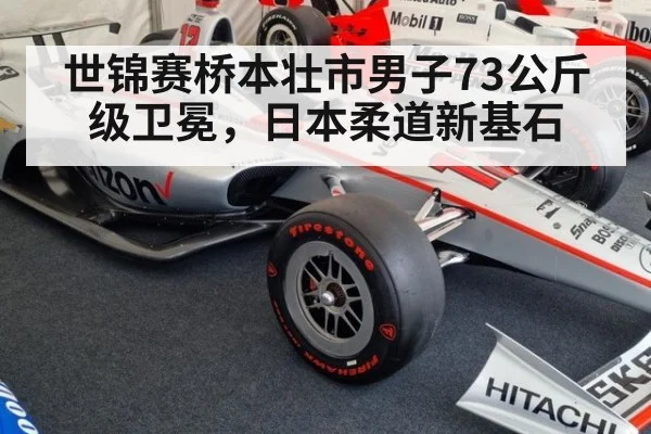 世锦赛桥本壮市男子73公斤级卫冕，日本柔道新基石